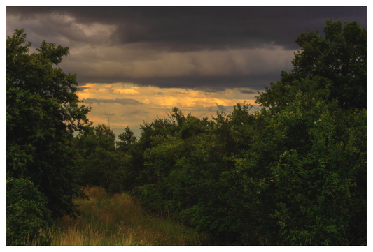 Main image In den Vierzehn Morgen, Budenheim