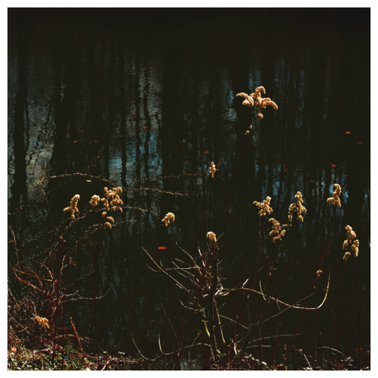 Main image Am Fischzuchtweg