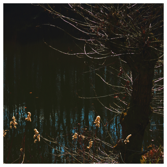 Main image Am Fischzuchtweg (2)